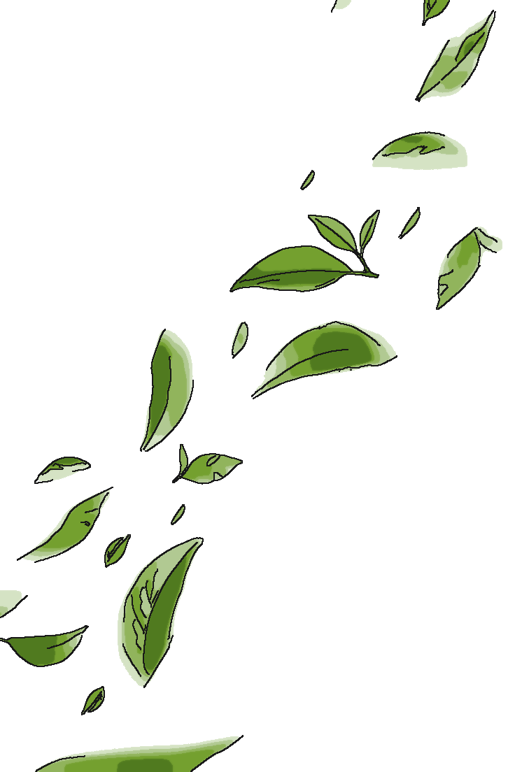 What Is L-Theanine? Matcha's Calm-Focus Amino Acid
