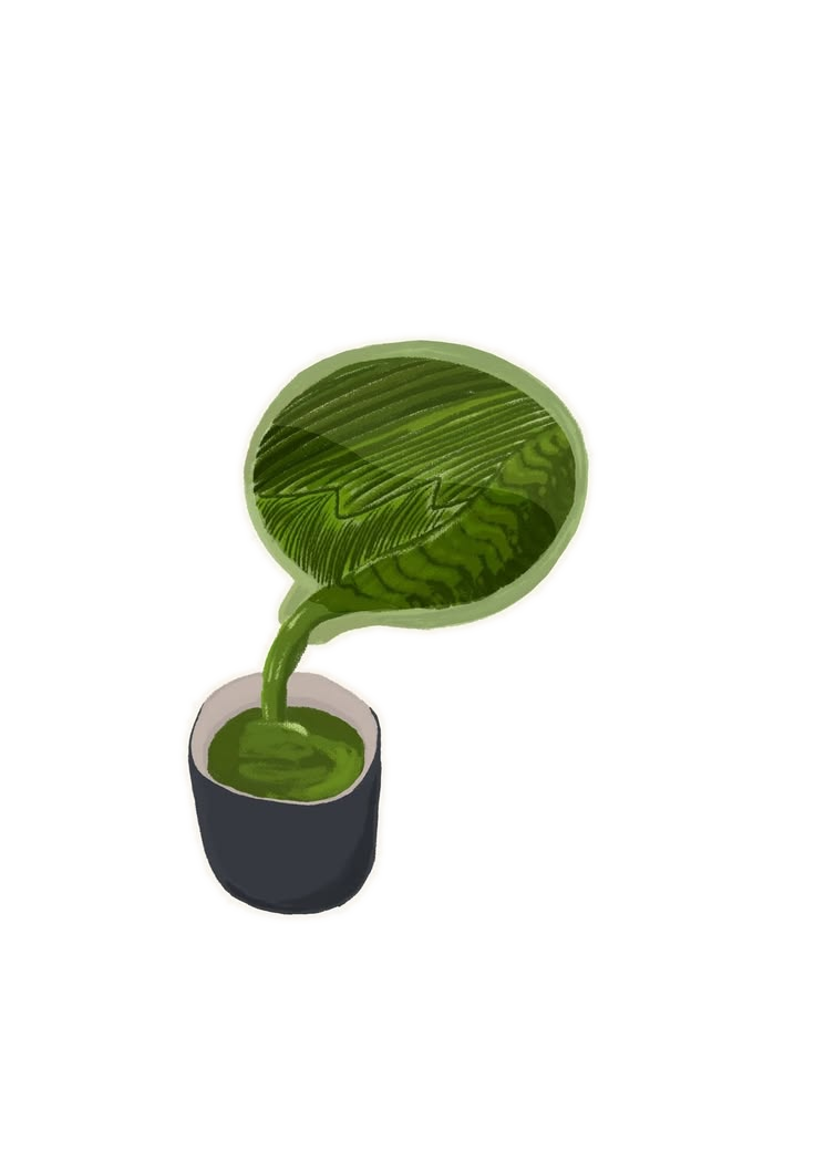 What Is Ceremonial Grade Matcha?