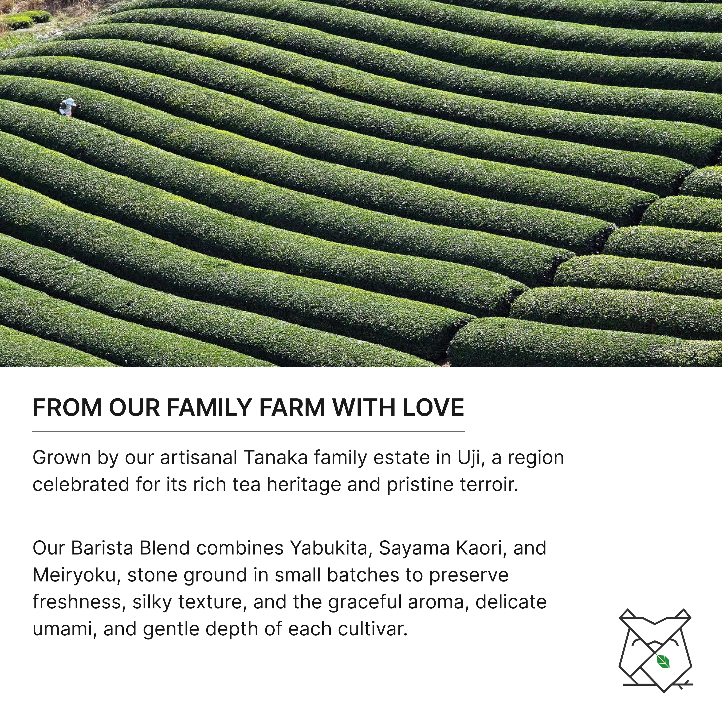 Organic Barista First Harvest Matcha 60g