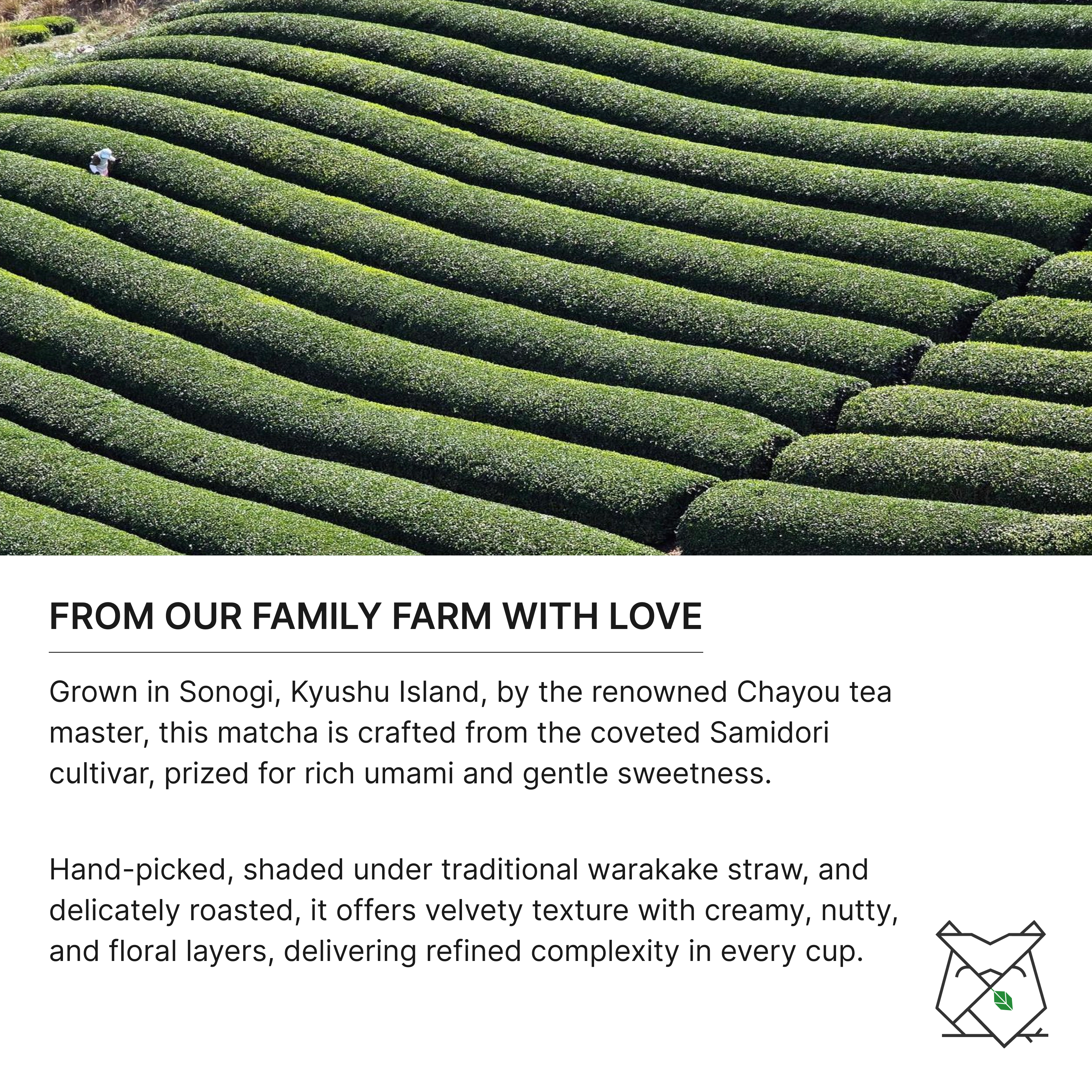 Samidori Limited Reserve Matcha 30g