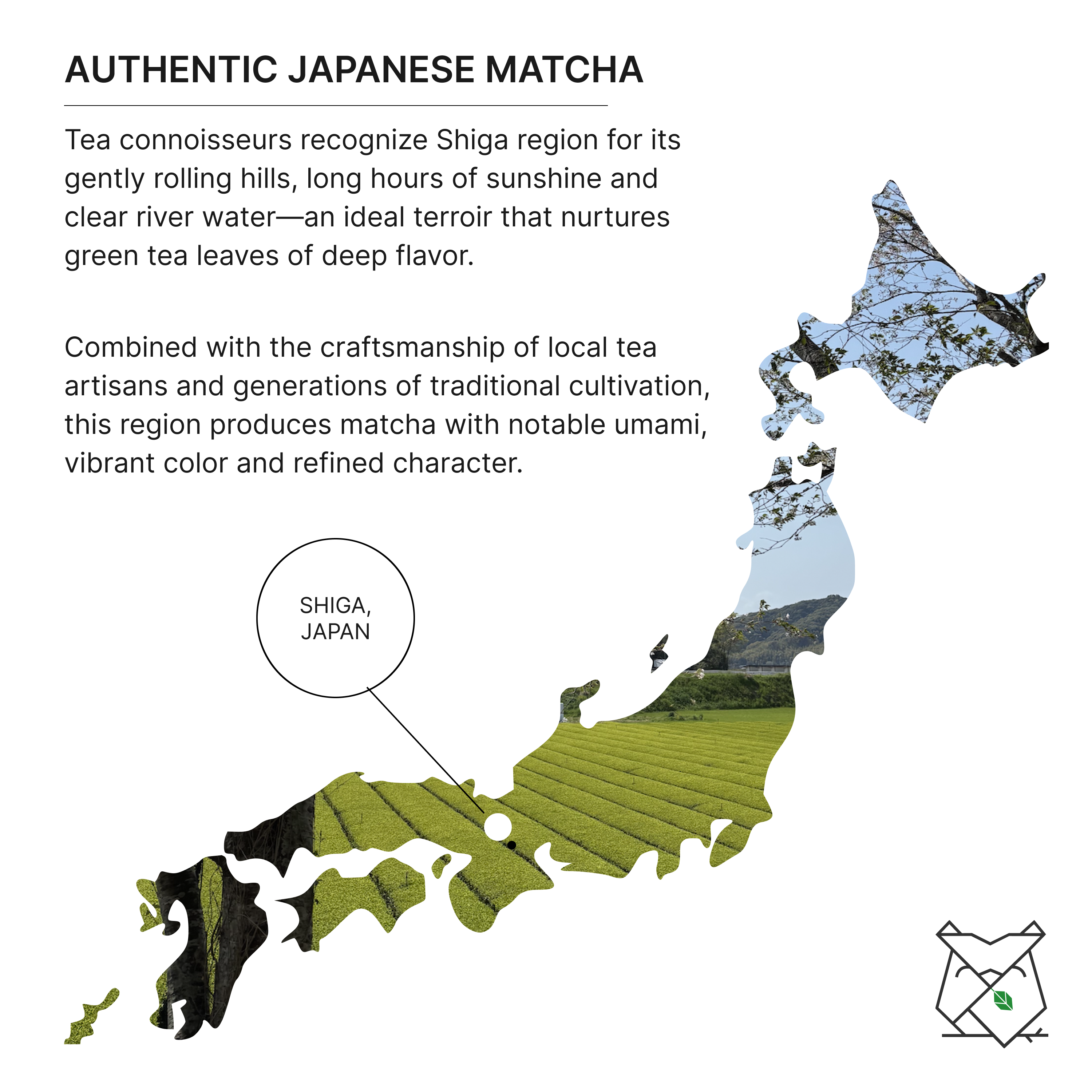 Tsuchiyama Limited Reserve Matcha 30g