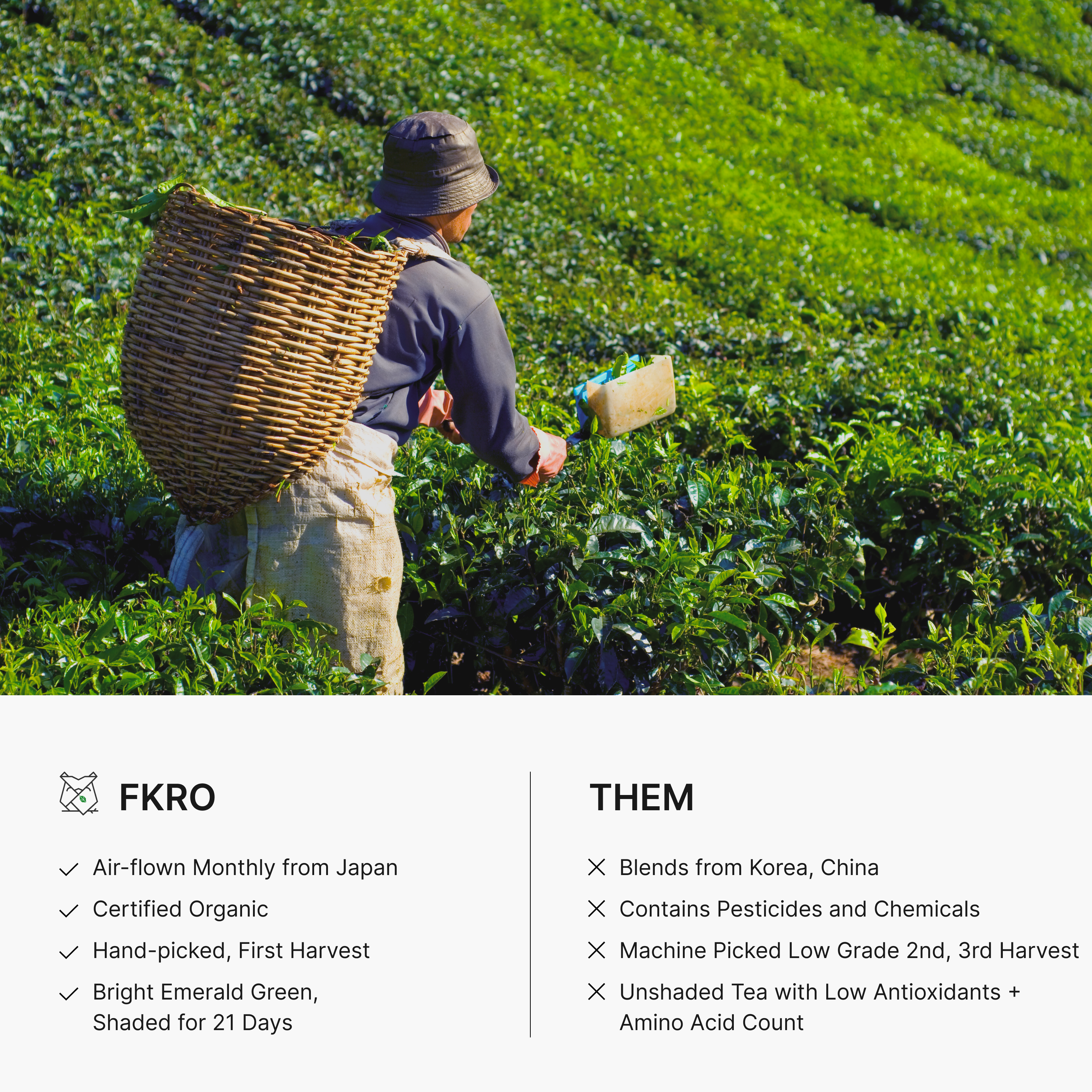 Organic Tea Master's Matcha