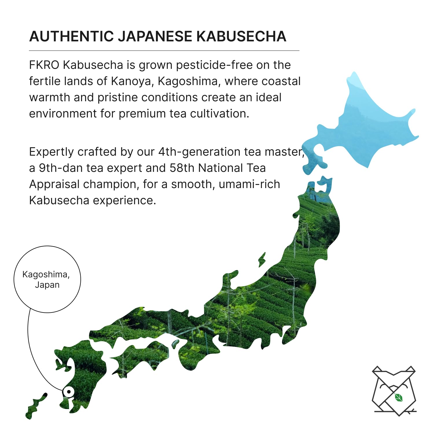 FKRO Organic Kabusecha | Premium Sencha | Japanese Shade-Grown Green Tea | First Harvest Saemidori Cultivar | Hand-Picked, Shaded for 10 Days | Umami Sweet Loose Leaf Green Tea | Freshly Flown from Japan Monthly (100g/3.5oz Pouch)