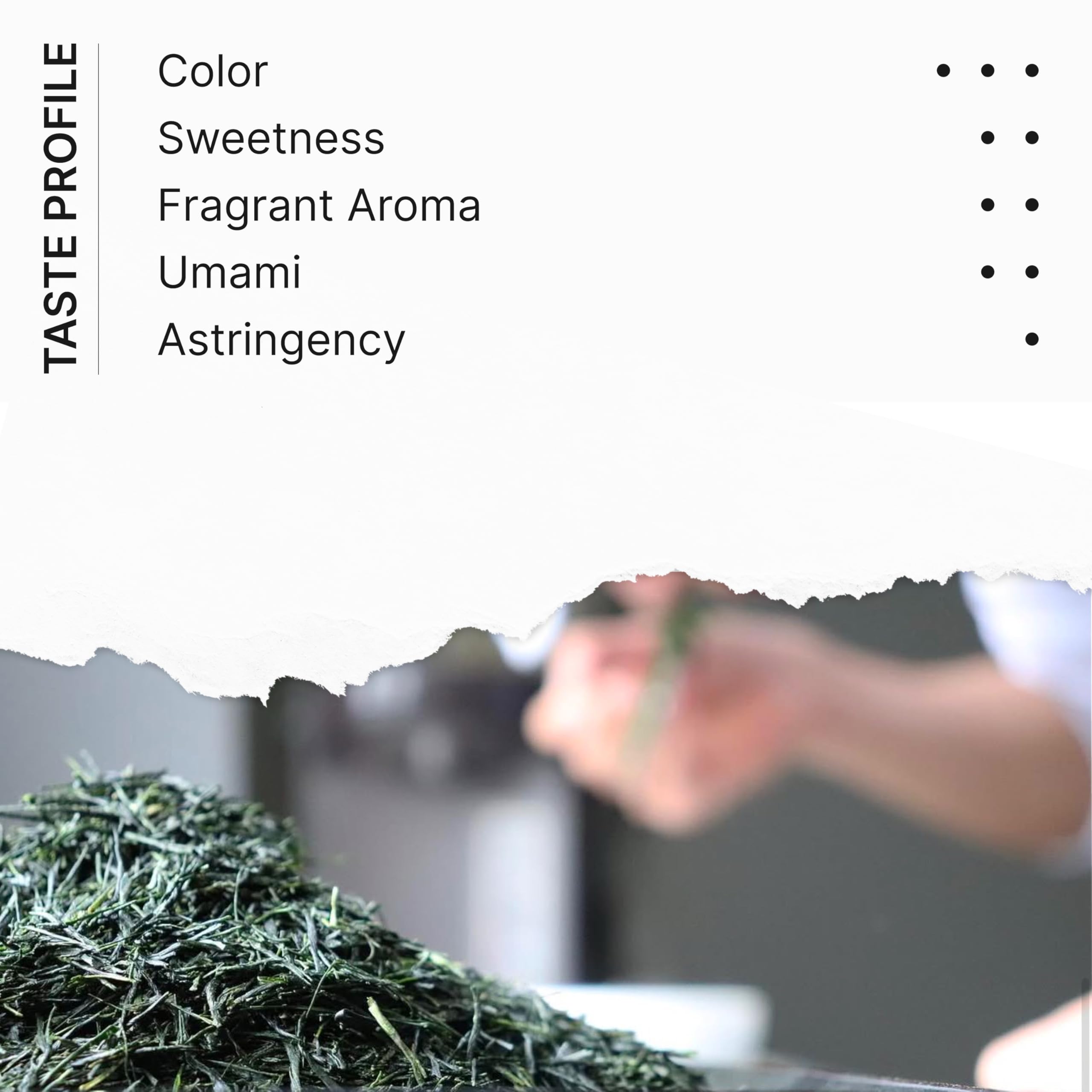 FKRO Organic Kabusecha | Premium Sencha | Japanese Shade-Grown Green Tea | First Harvest Saemidori Cultivar | Hand-Picked, Shaded for 10 Days | Umami Sweet Loose Leaf Green Tea | Freshly Flown from Japan Monthly (100g/3.5oz Pouch)