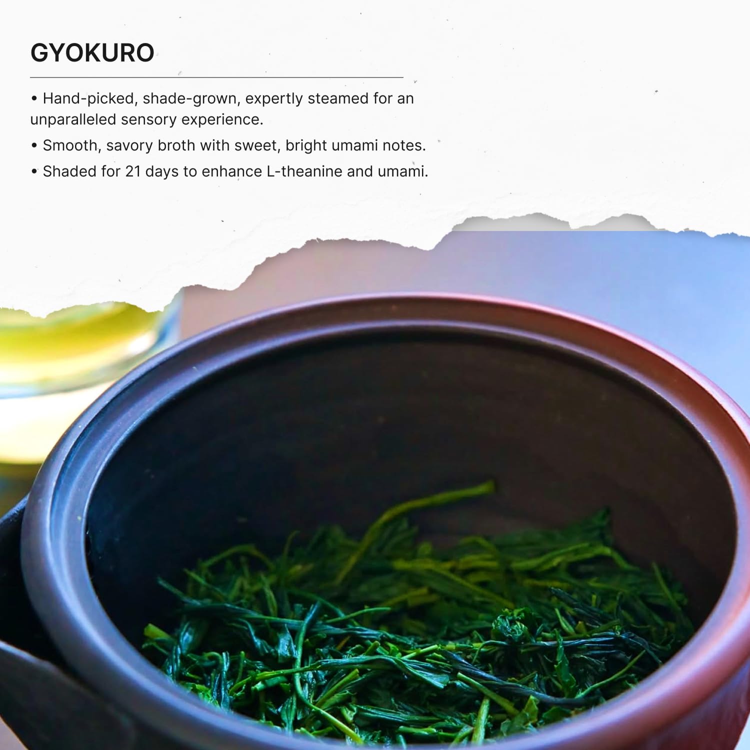 FKRO Organic Gyokuro | Premium Japanese Shade-Grown Green Tea | Hand-Picked Loose Leaf Tea, Shaded for 21 Days | Freshly Flown from Japan Monthly (100g/3.5oz Pouch)