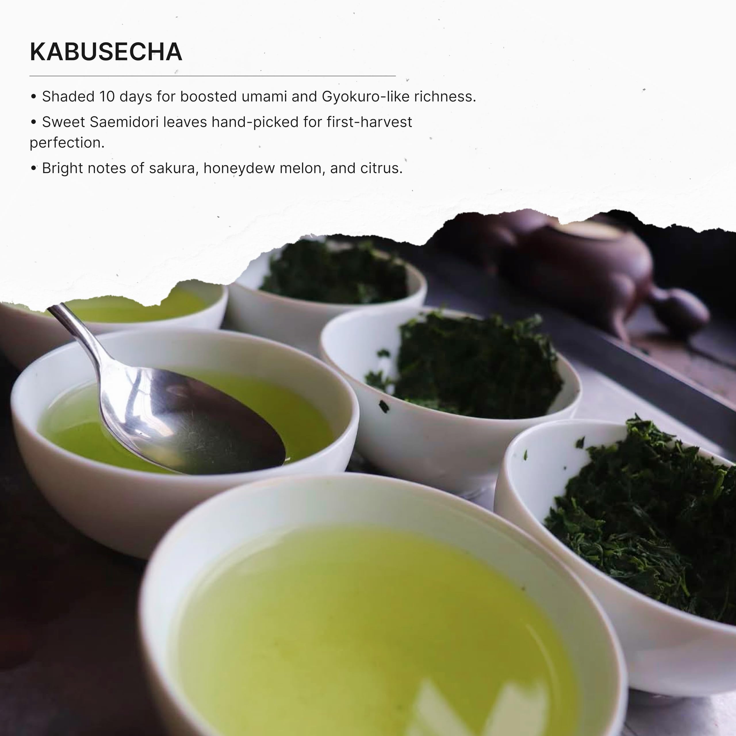 FKRO Organic Kabusecha | Premium Sencha | Japanese Shade-Grown Green Tea | First Harvest Saemidori Cultivar | Hand-Picked, Shaded for 10 Days | Umami Sweet Loose Leaf Green Tea | Freshly Flown from Japan Monthly (100g/3.5oz Pouch)