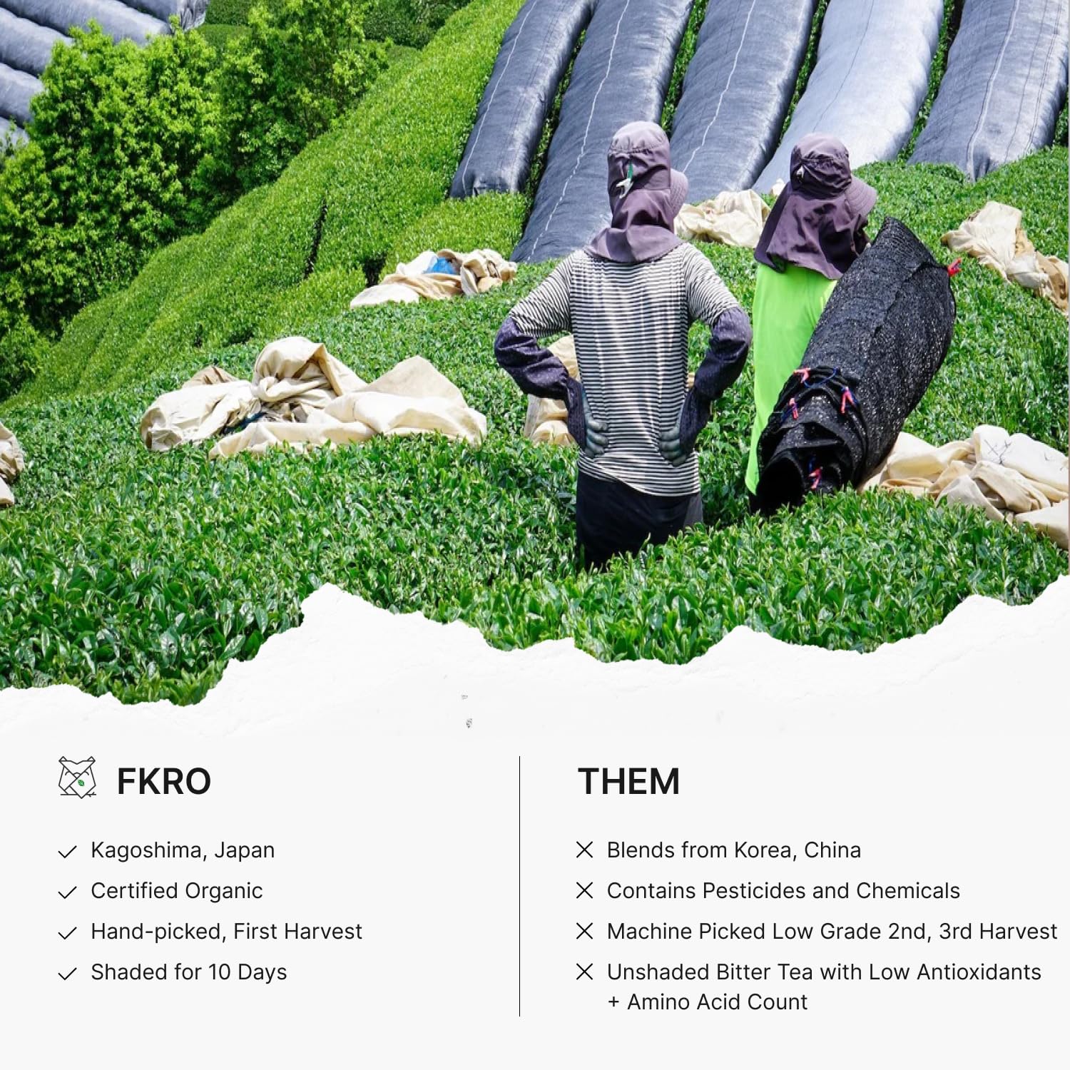 FKRO Organic Kabusecha | Premium Sencha | Japanese Shade-Grown Green Tea | First Harvest Saemidori Cultivar | Hand-Picked, Shaded for 10 Days | Umami Sweet Loose Leaf Green Tea | Freshly Flown from Japan Monthly (100g/3.5oz Pouch)