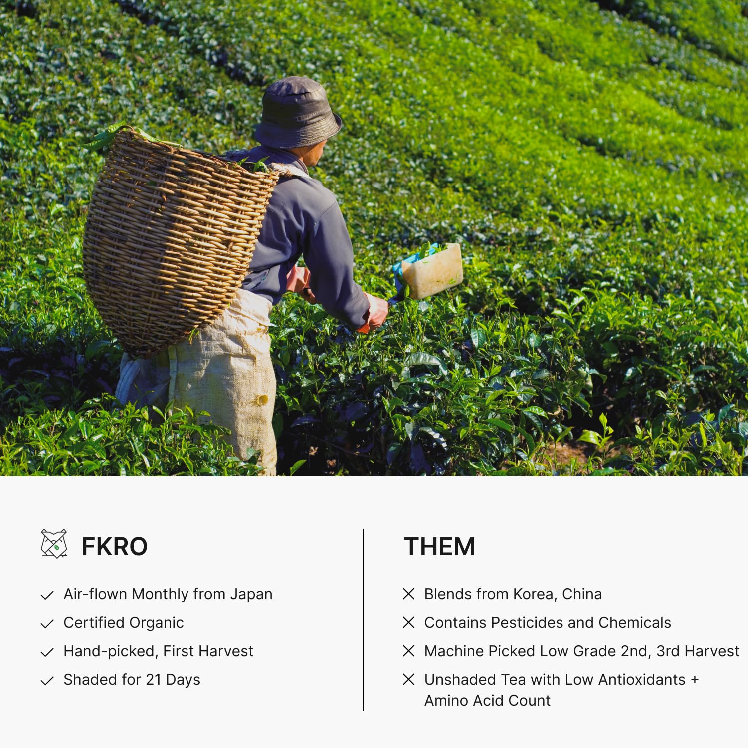 Organic Saemidori Matcha 30g