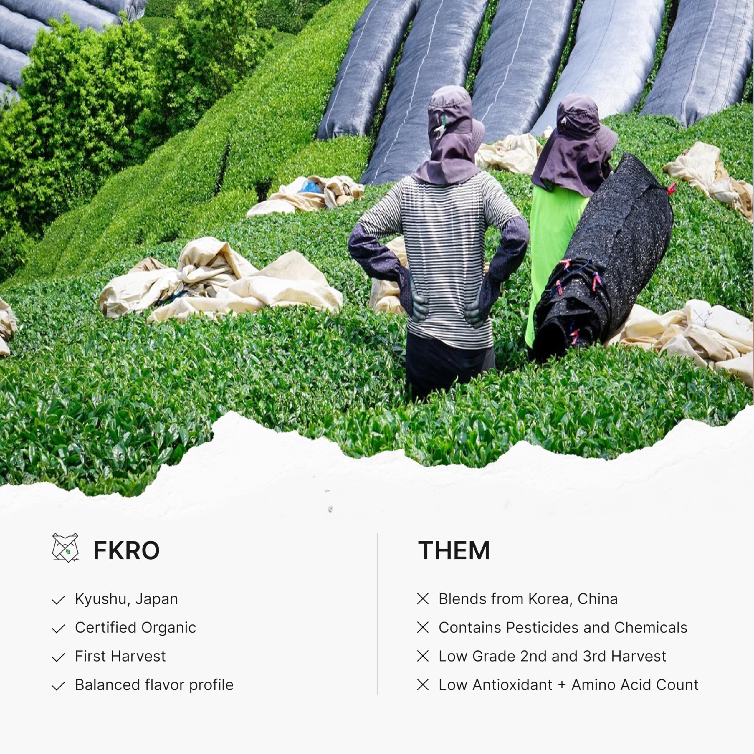 FKRO Organic Genmaicha | Japanese Roasted Rice Green Tea | Loose Leaf Premium Sencha Blend with Roasted Rice | Low Caffeine | Freshly Flown from Japan Monthly (100g/3.5oz Pouch)