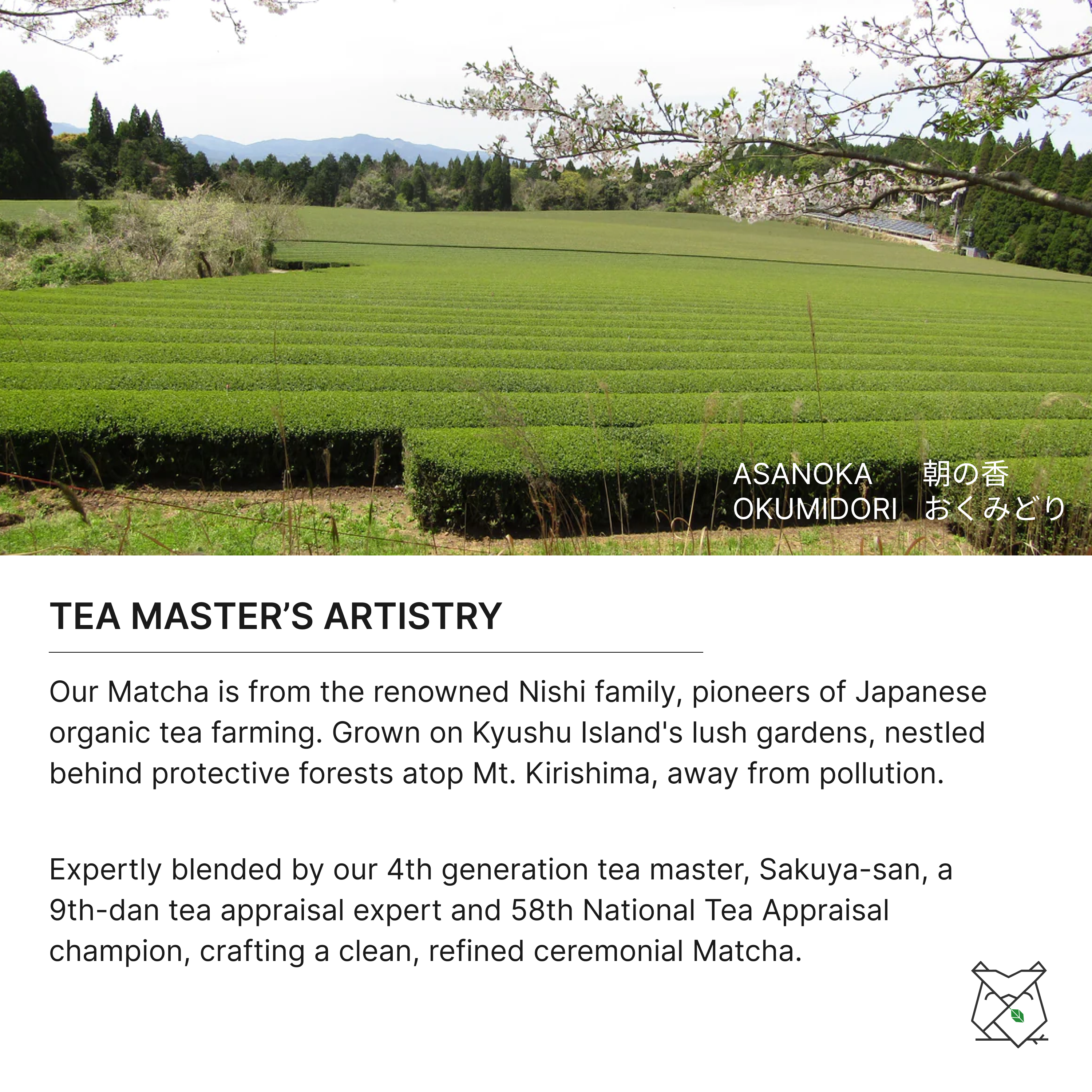 Organic Tea Master's Matcha