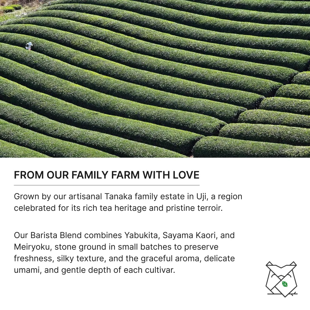 Organic Barista First Harvest Matcha 60g