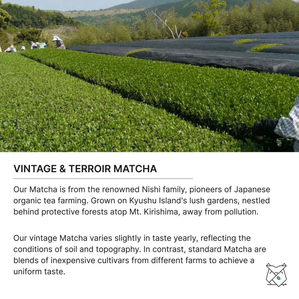 Organic Okumidori Matcha (Kagoshima) 30g