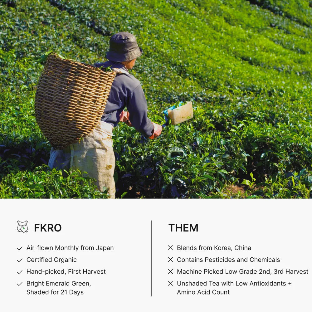 Organic Tea Master’s Matcha